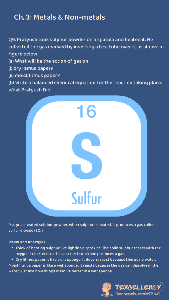Pratyush took sulphur powder on a spatula and heated it. He collected the gas evolved by inverting a test tube over it, as shown in figure below.