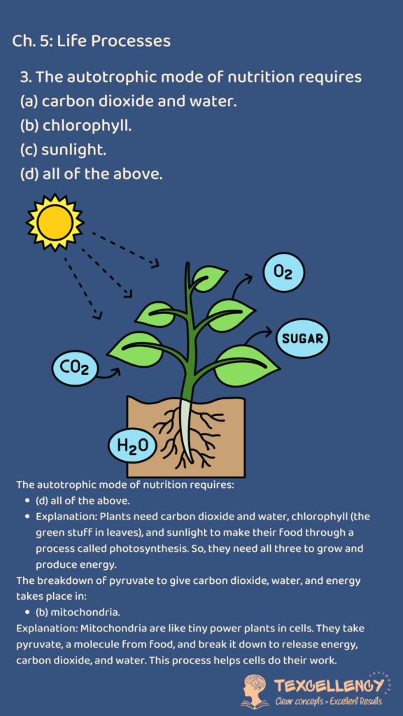 The autotrophic mode of nutrition requires