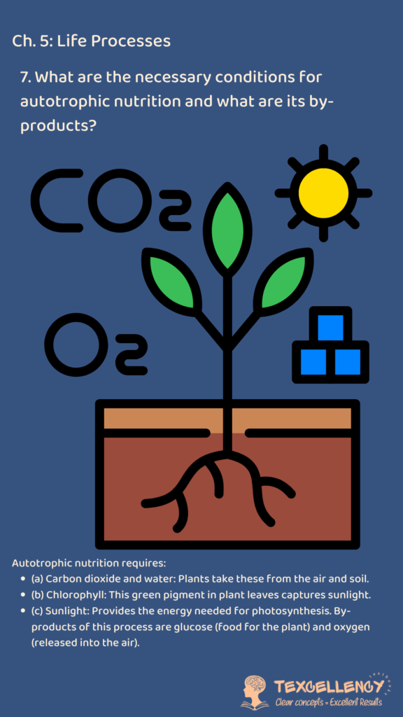 What are the necessary conditions for autotrophic nutrition and what are its by-products