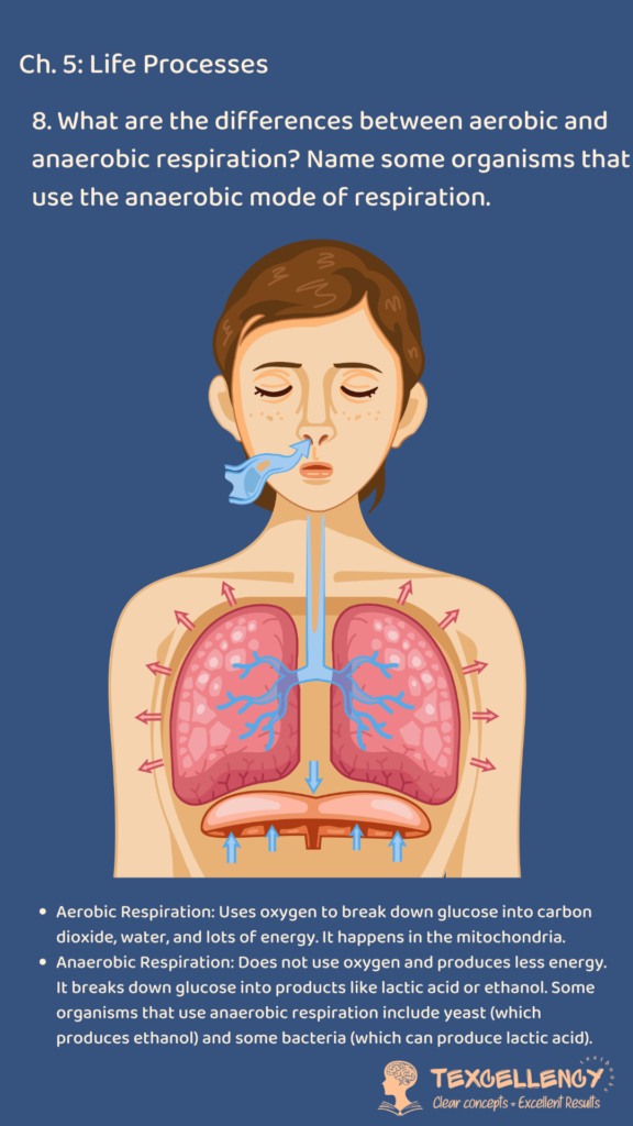 What are the differences between aerobic and anaerobic respiration Name some organisms that use the anaerobic mode of respiration.